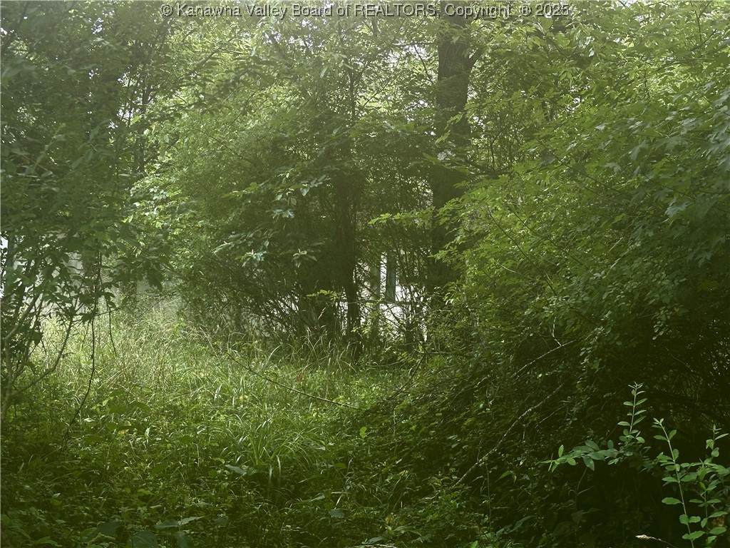 0 Wells Lock Road - Photo 1