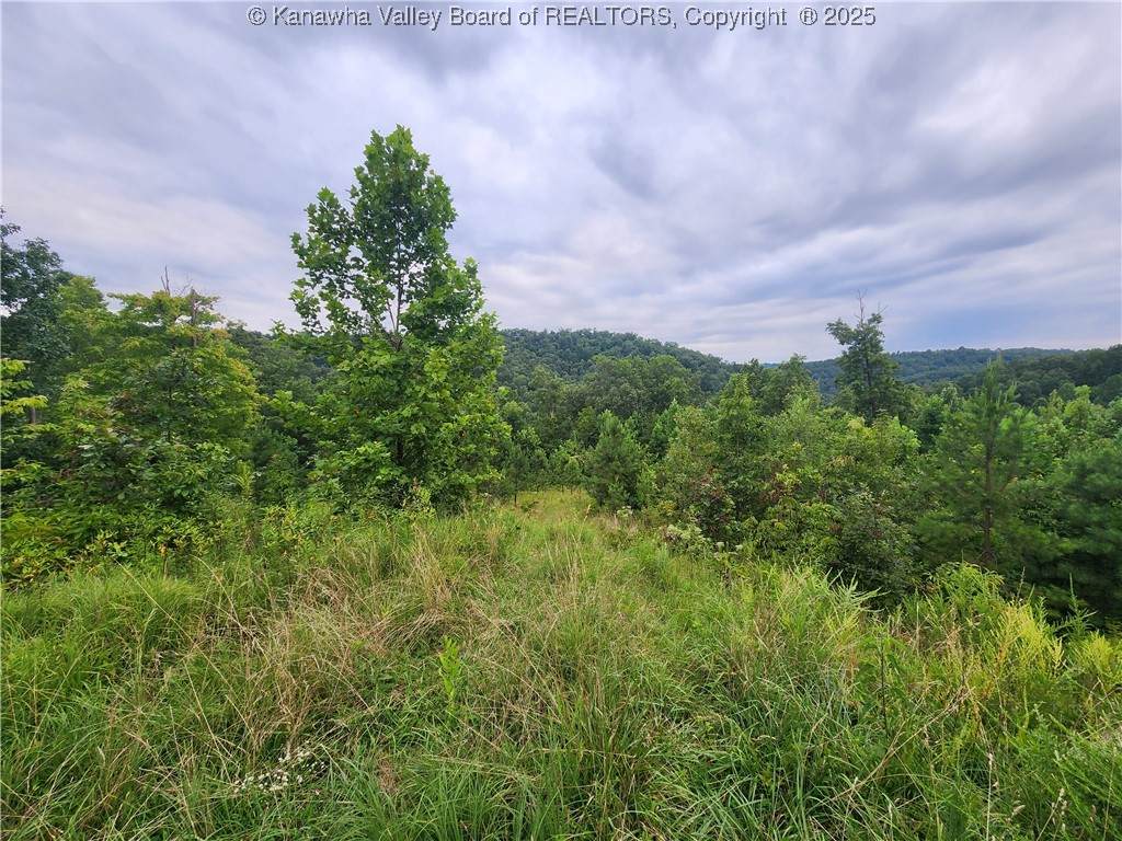 00 Mountain Highland Ridge - Photo 1
