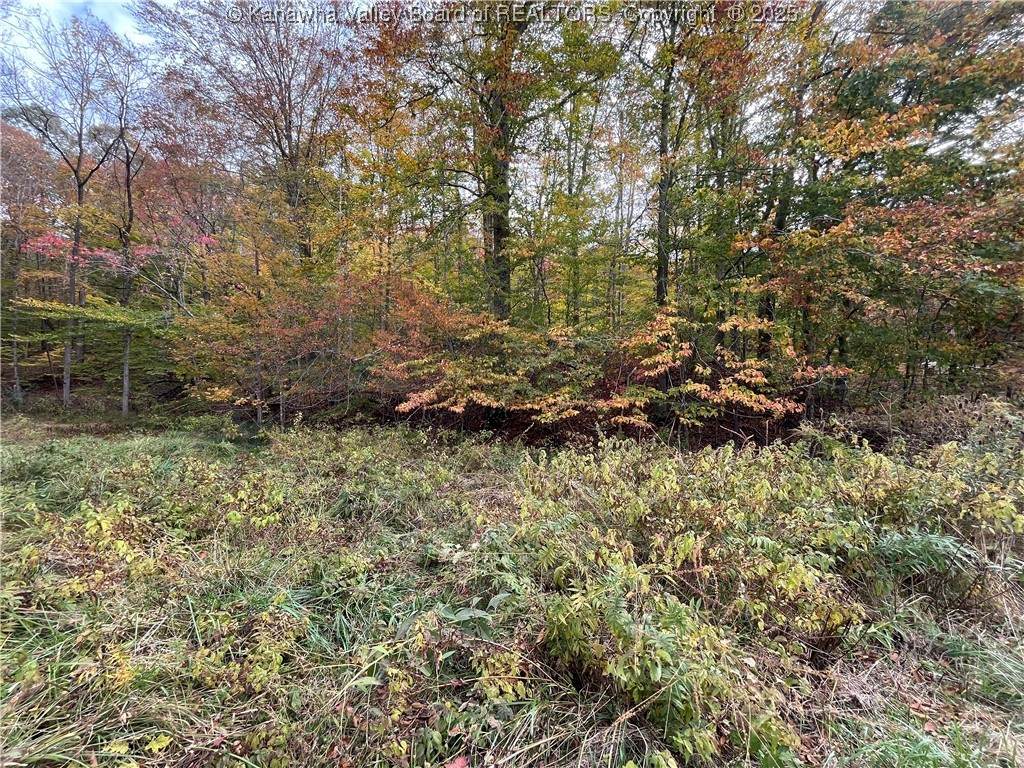 0 Stone Lick Road - Photo 1