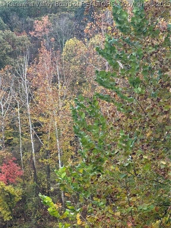 0 Sissonville Drive - Photo 1