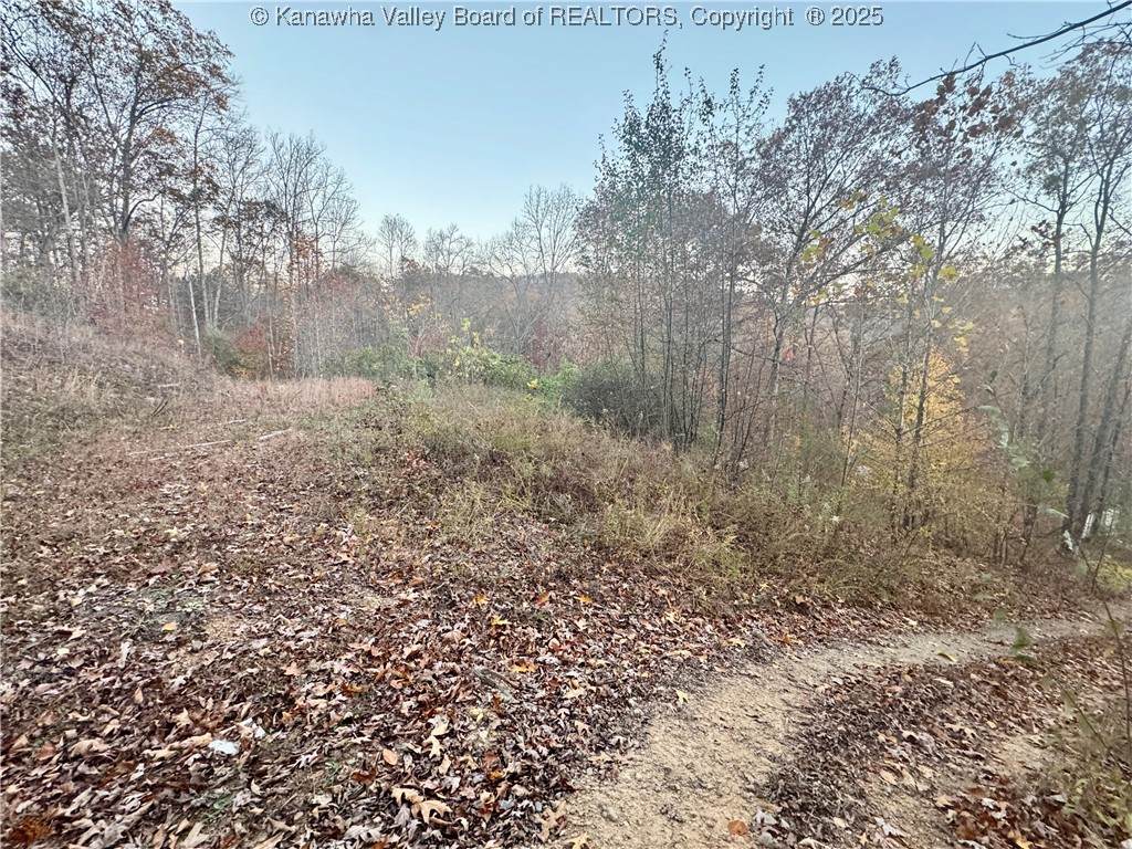 501 Mallard Lane - Photo 1