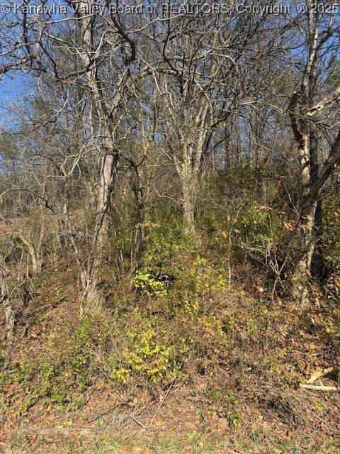 0 Kay Neva Lane - Photo 1