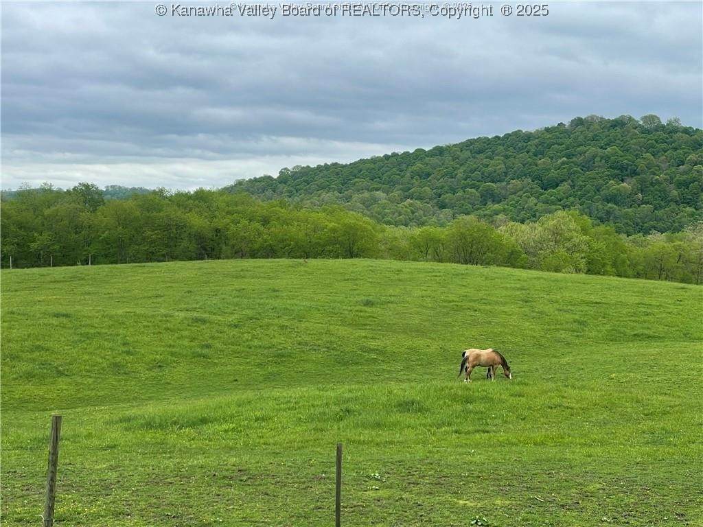 74 Long Meadow Lane - Photo 1