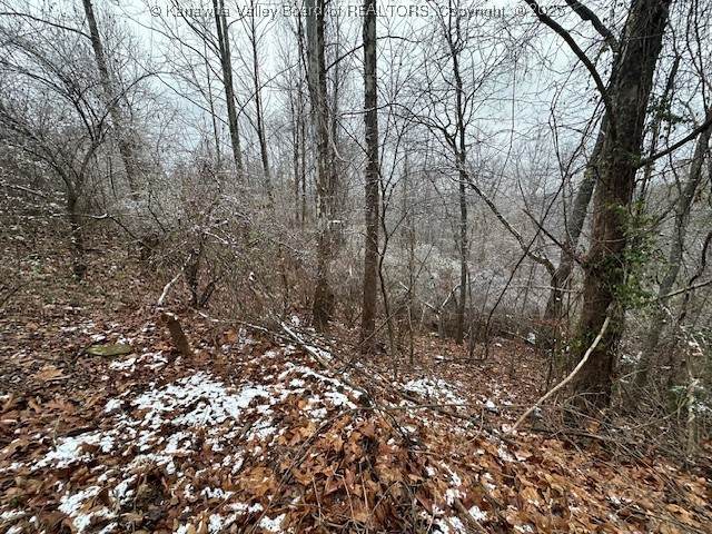 3988 Pinnacle View Road - Photo 1