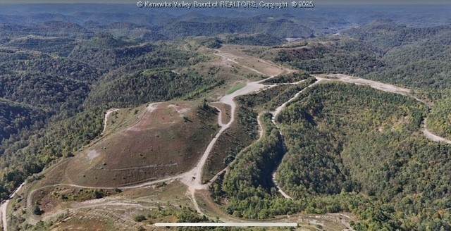 245 Pritchard Mine Access Road - Photo 1