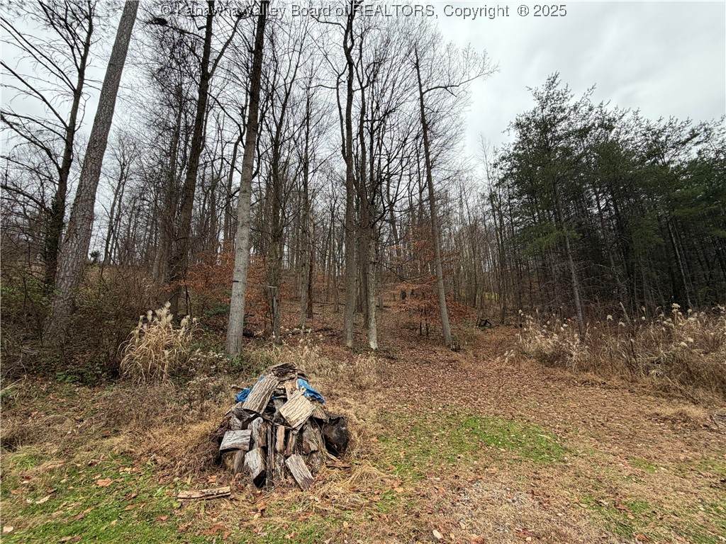 25 Pinson Drive - Photo 1