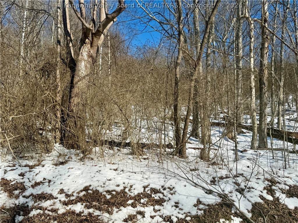 0 Newark Road - Photo 1