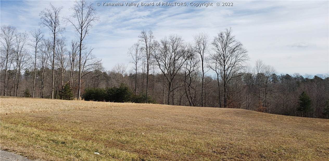 12 Bridle Point - Photo 1