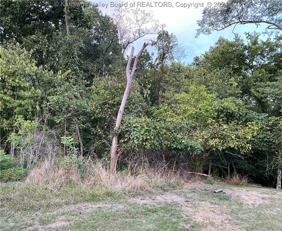 0 Pinnell Street - Photo 1