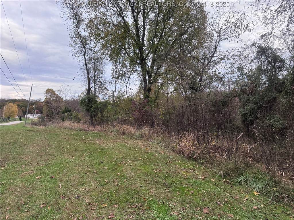 0 Woodland Drive - Photo 1