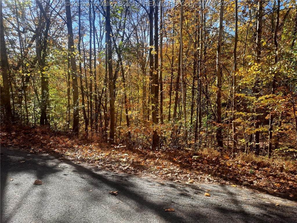 0 Bennington Drive - Photo 1