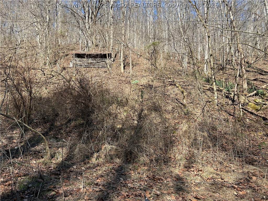 0 Offutt Drive - Photo 1