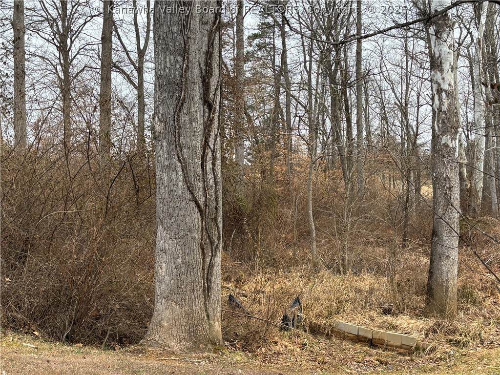 https://bt-photos.global.ssl.fastly.net/kanawha/orig_boomver_2_282470-2.jpg