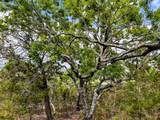 00 Cypress Creek Rd - Photo 26