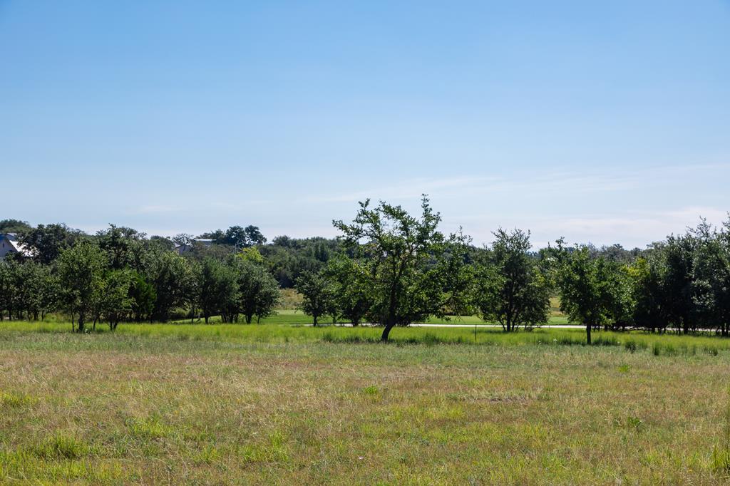 4101 Stone Creek Circle - Photo 1