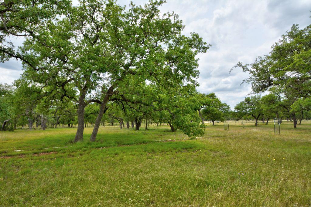 277 Maverick Ln - Photo 1