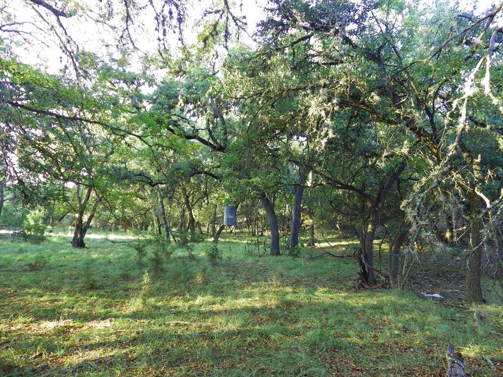 1220 Hwy 83S - Photo 1