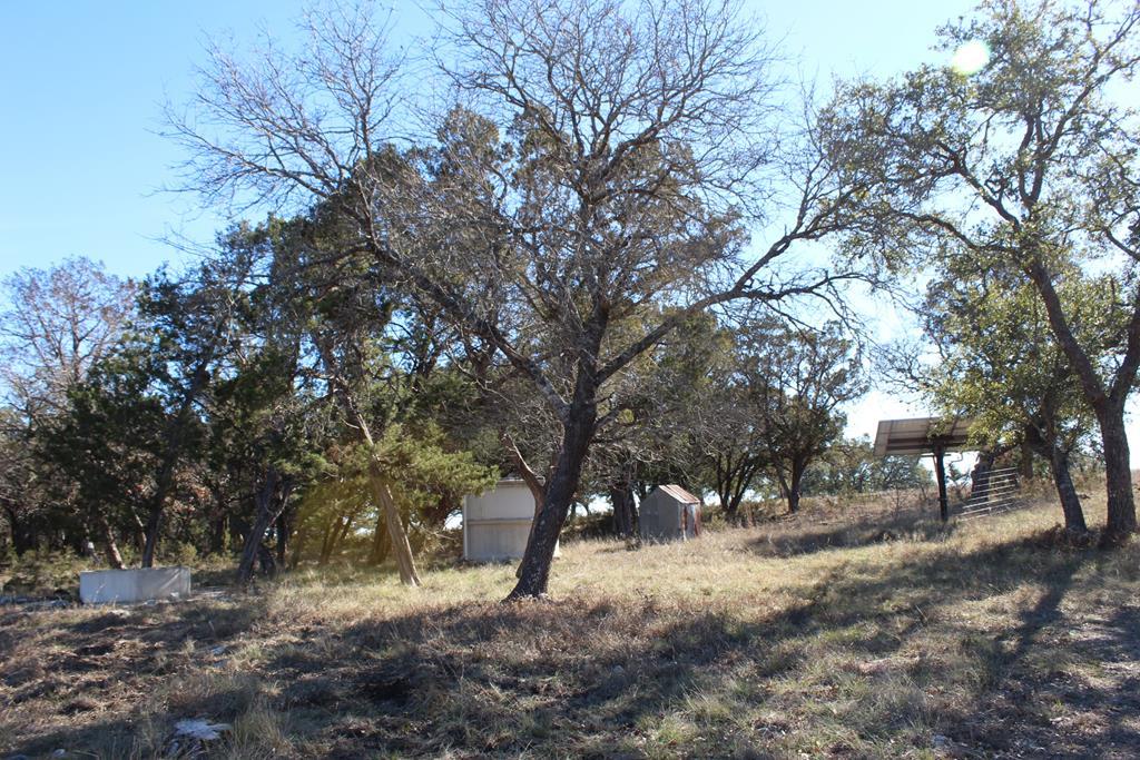 Lot 14 Sheppard Rees Rd - Photo 1
