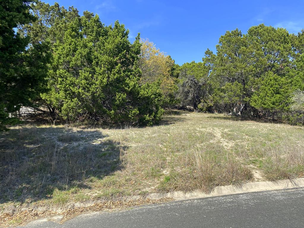 2239 San Jacinto Dr - Photo 1