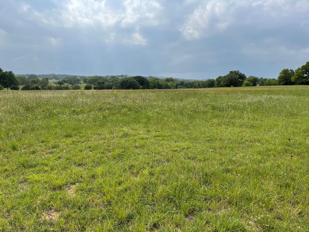 1108 Pinnacle View Dr - Photo 1