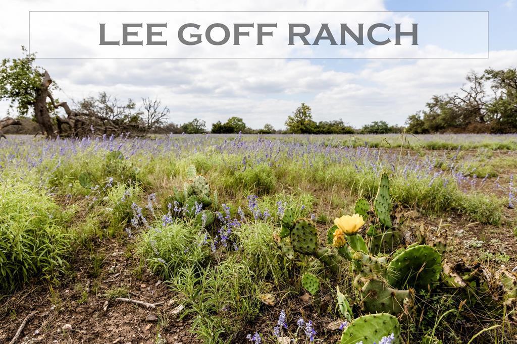 1570 Fm 479 - Photo 1