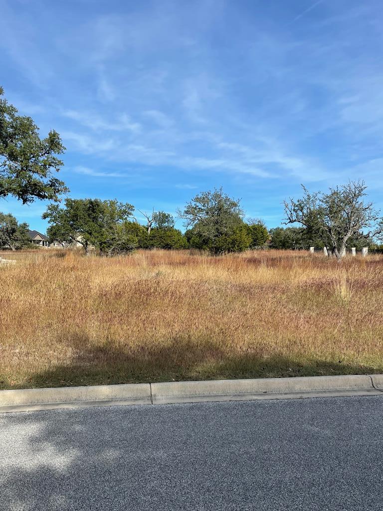1009 Cielo Dr - Photo 1