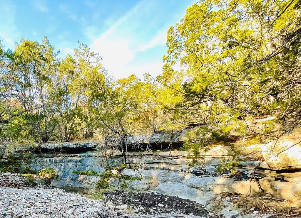 0 Red Bud Canyon - Photo 1