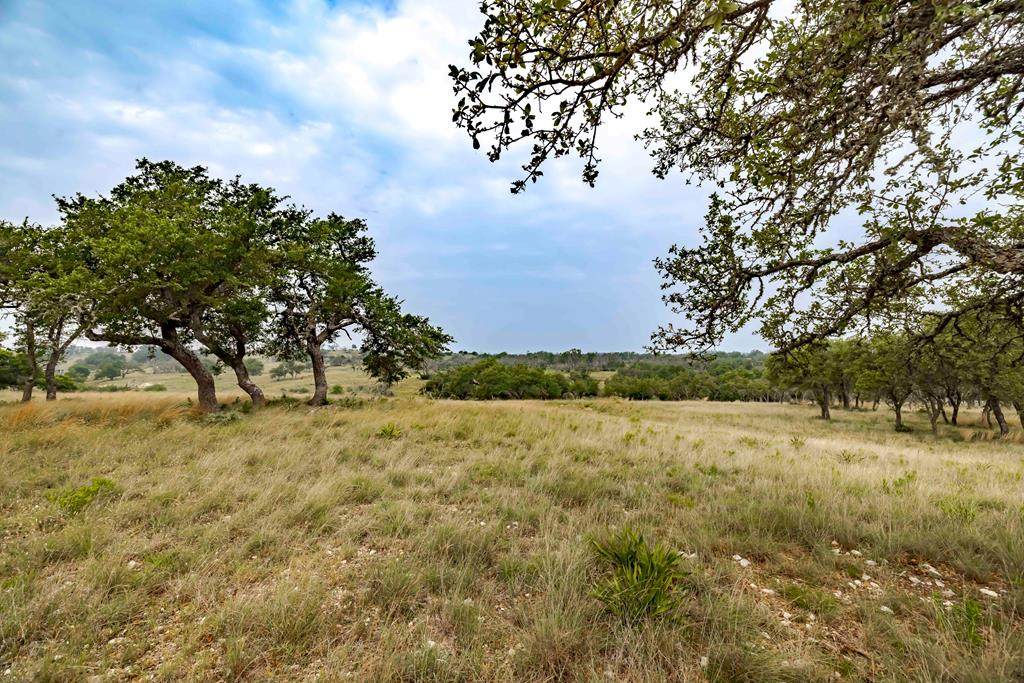 Lot 24 Badger Ridge Rd - Photo 1