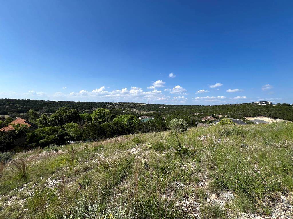2120 Bluff Ridge Dr - Photo 1