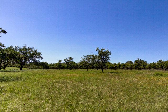 4233 Stone Creek Circle - Photo 1