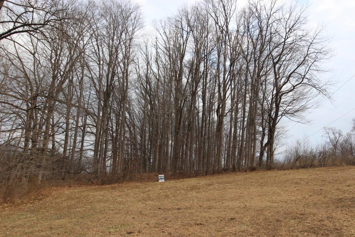 524 RE Willow Street, Reinholds, PA 17569 (MLS #242565) :: The Craig Hartranft Team, Berkshire Hathaway Homesale Realty