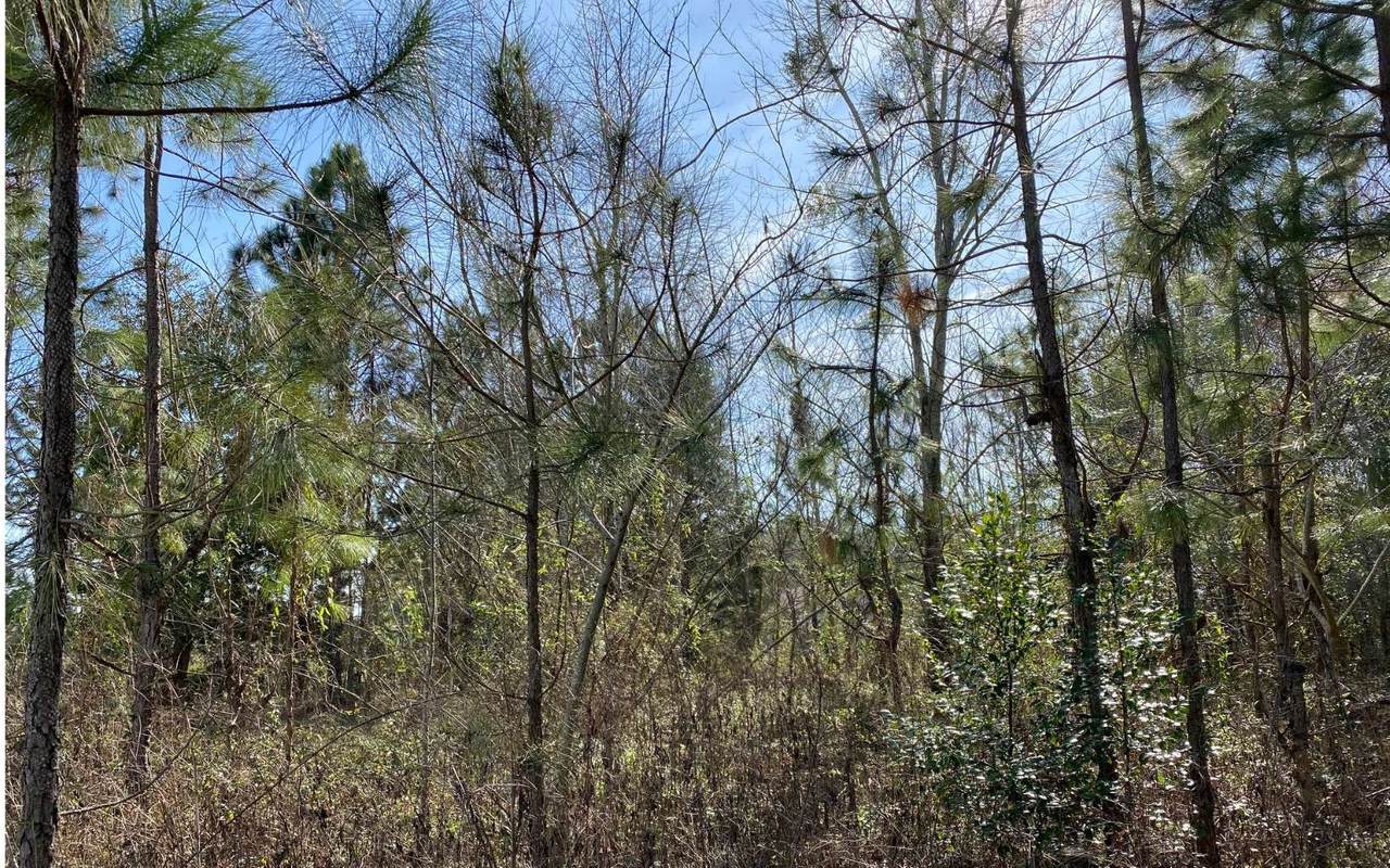 0 102ND TRACE LOT 7& 8 - Photo 1