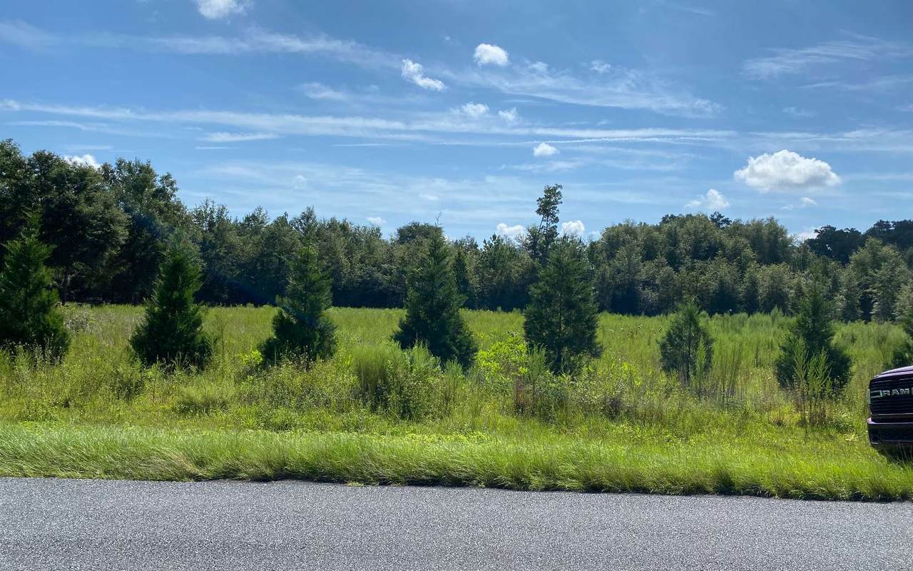 TBD River Road - Photo 1