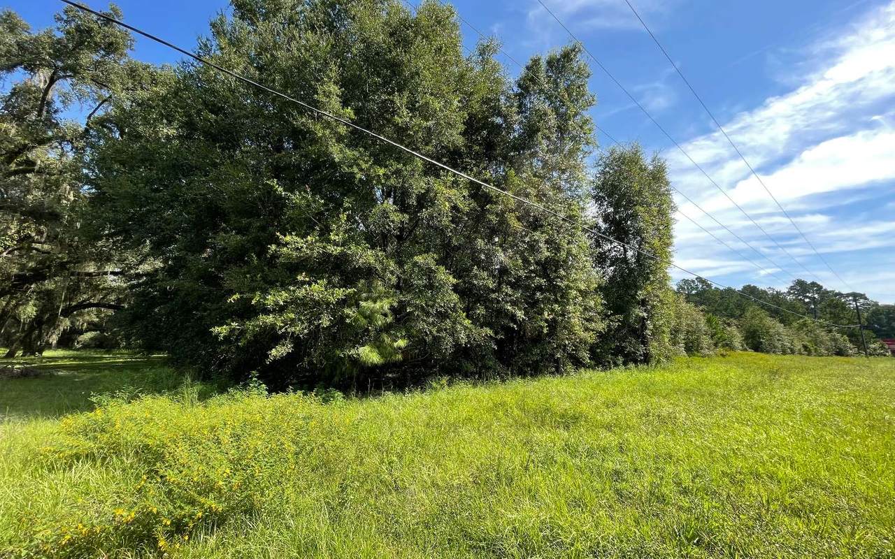 TBD Branch Drive - Photo 1
