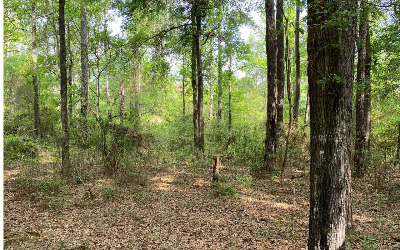 L-54 Laurie Ln - Photo 1