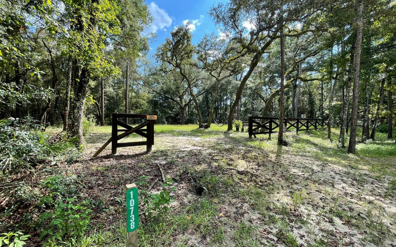10738 246TH TRACE - Photo 1