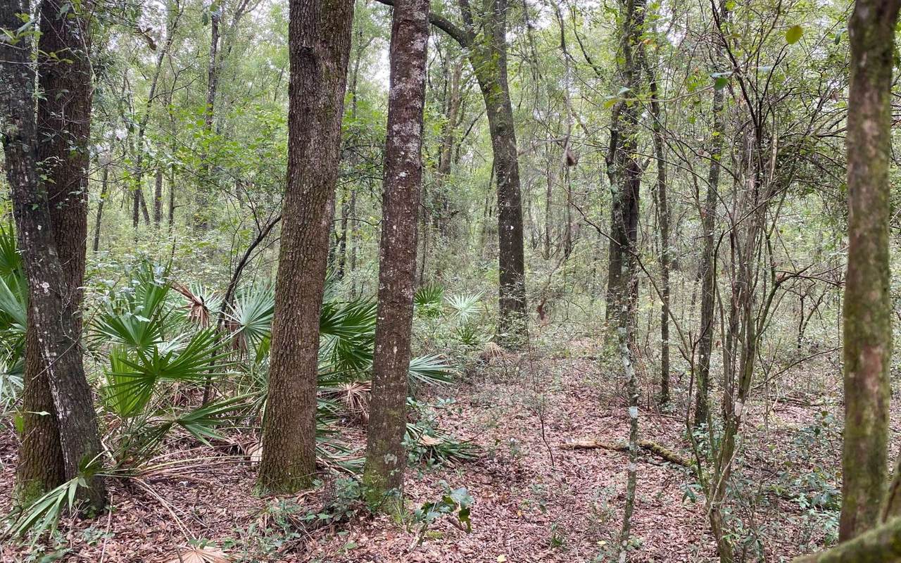 TBD S Sr 51 - Photo 1
