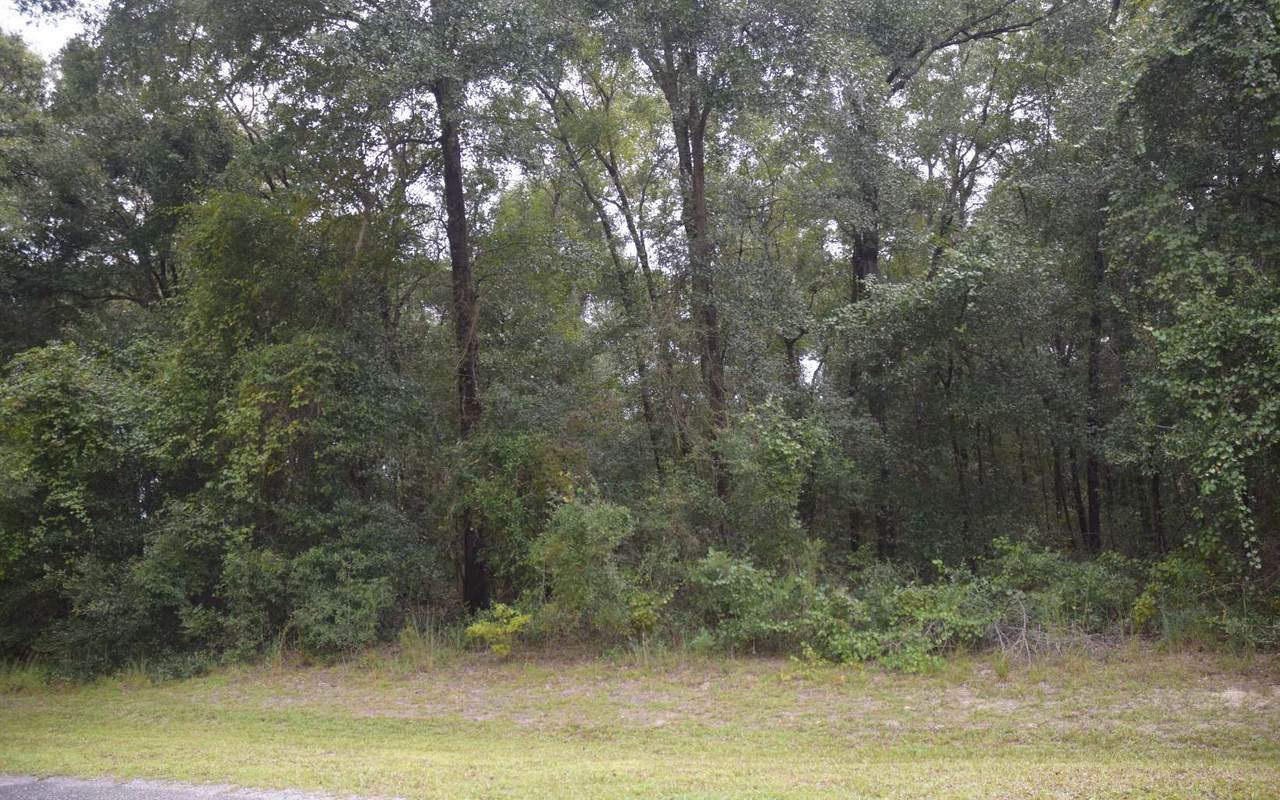 251 Timberland Ct - Photo 1