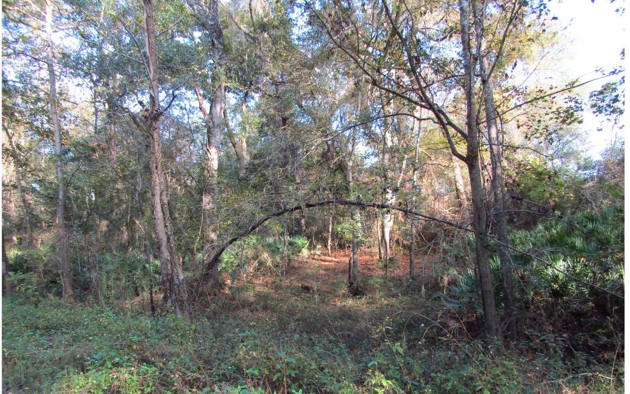 TBD 10TH TER - Photo 1