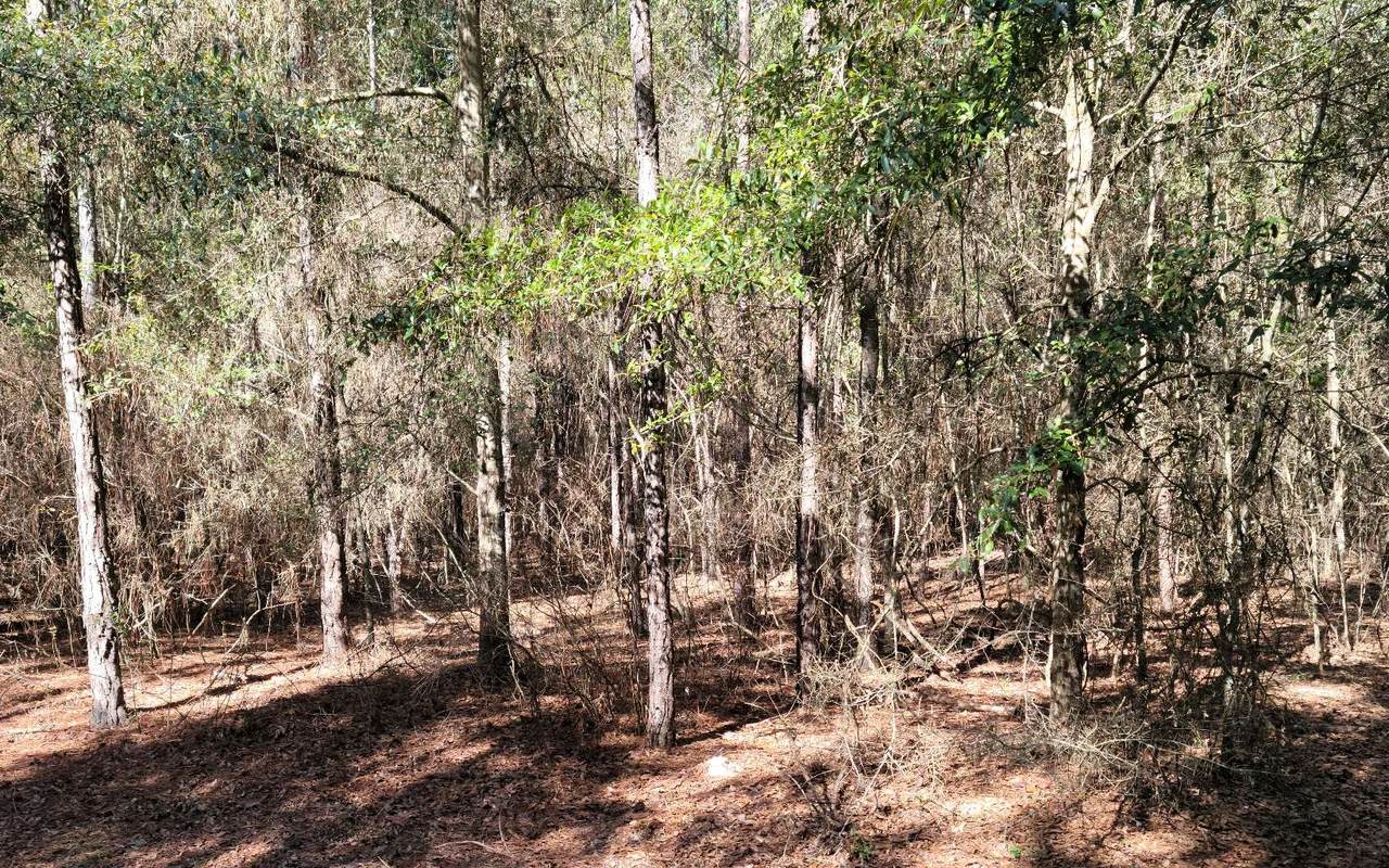 Tbd- 221St Road - Photo 1