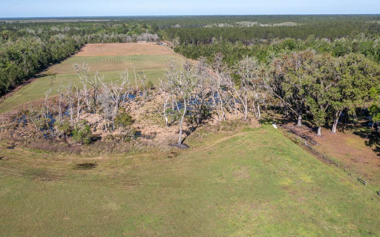 000 County Road 1469 - Photo 1