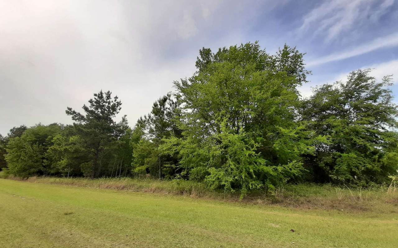 TBD 62ND LANE - Photo 1