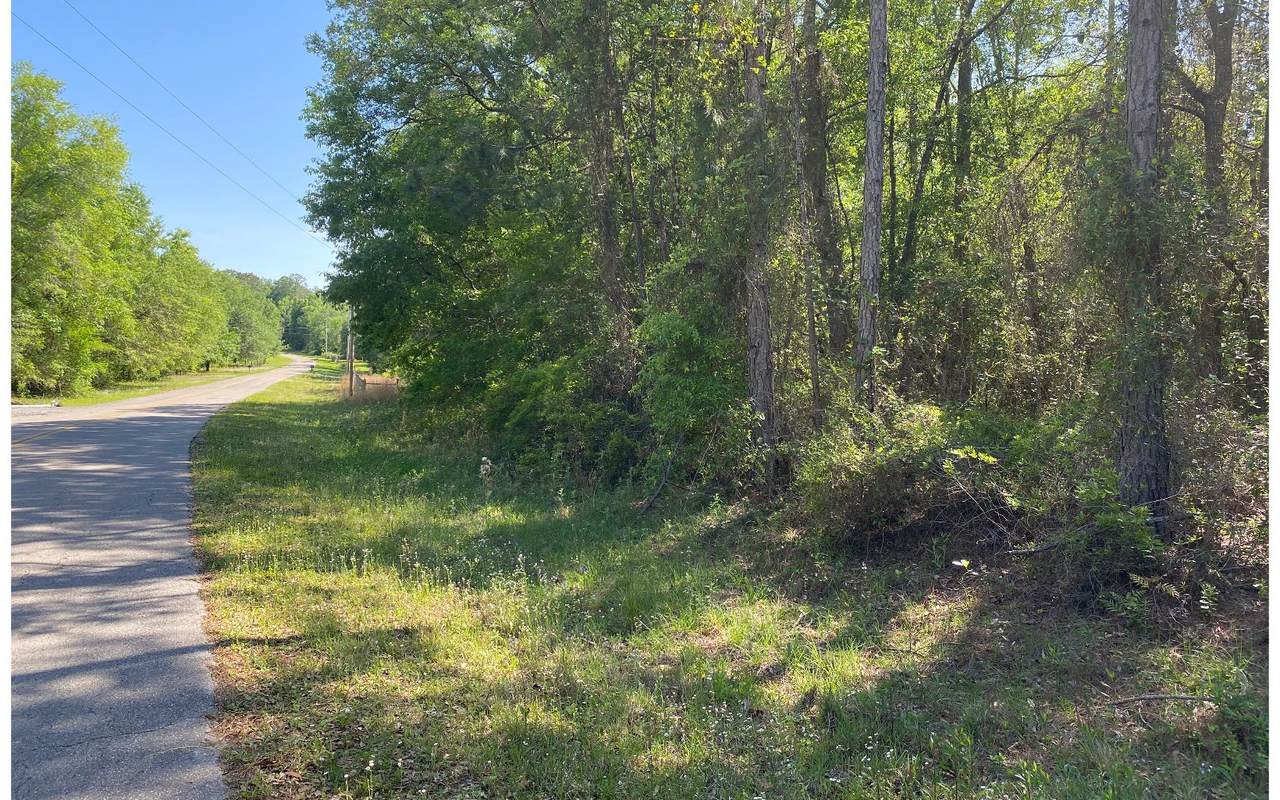 TBD Quail Ridge Ct - Photo 1