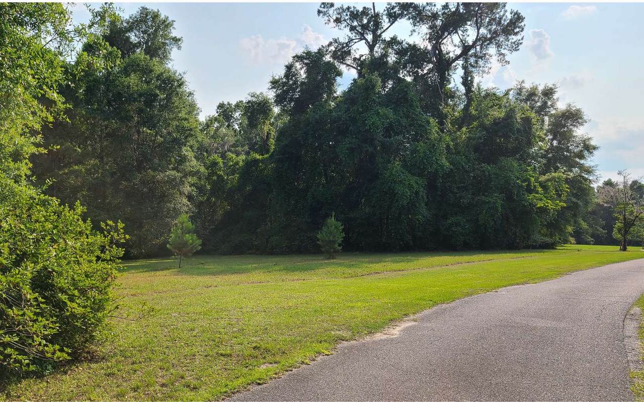 TBD Nature Drive (Lot 4) - Photo 1