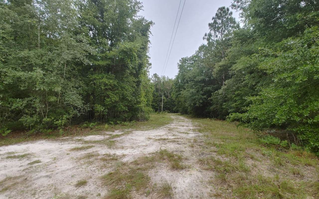 21146 144TH STREET - Photo 1
