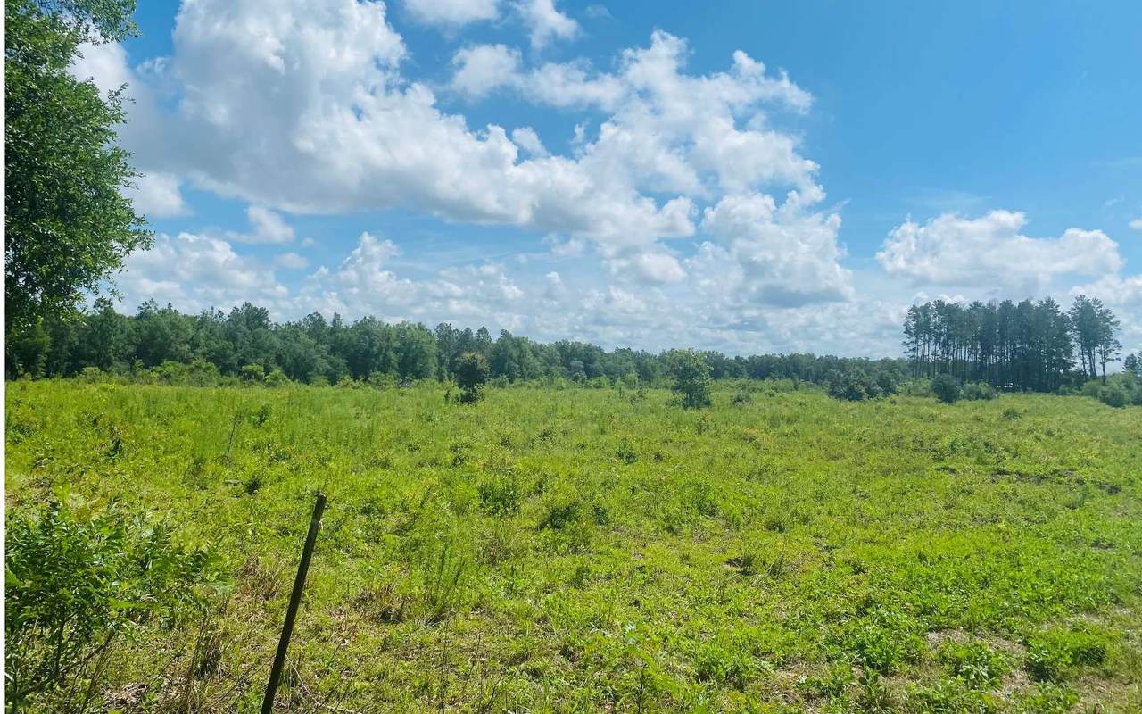 10 AC Tbd Beulah Chuch Rd - Photo 1