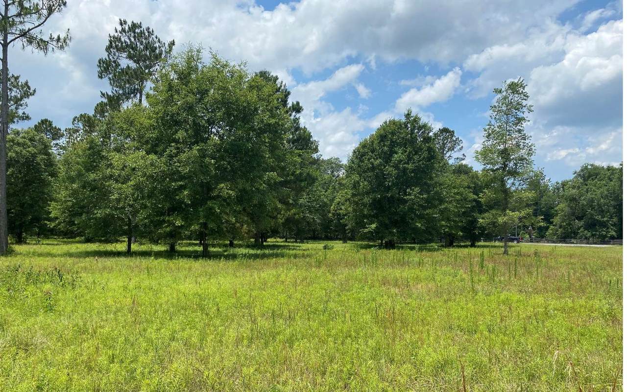 LOT12 Tbd 138Th Ter - Photo 1