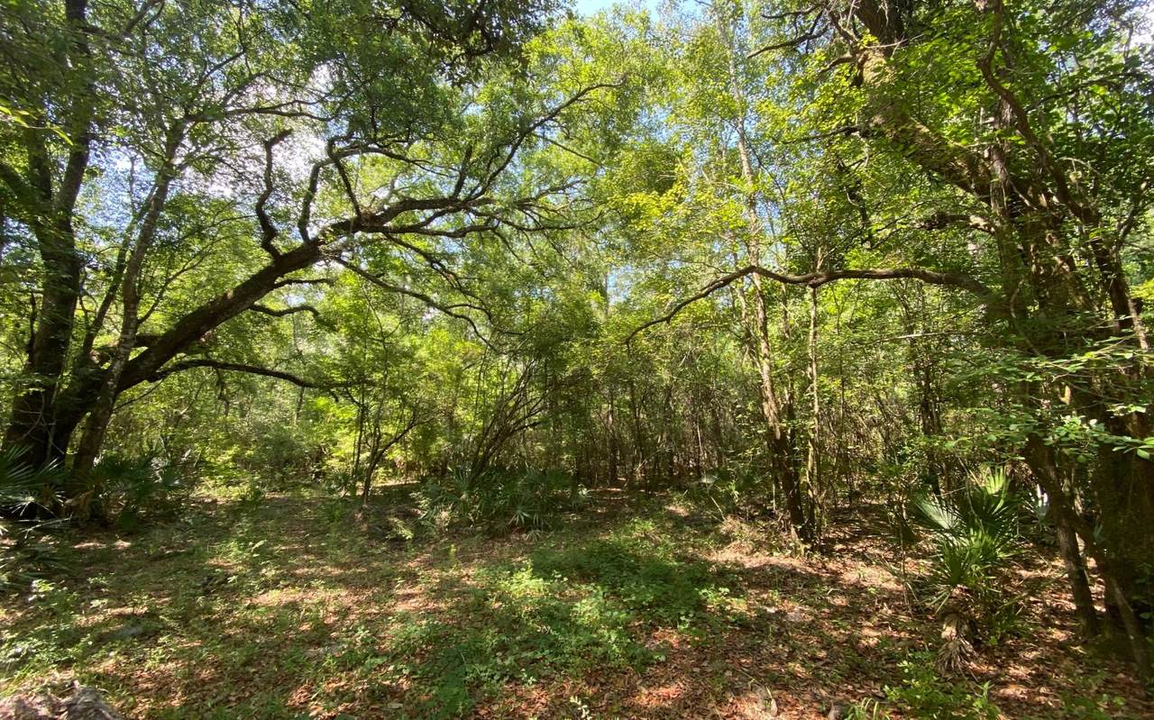 T-5B 237TH DRIVE - Photo 1