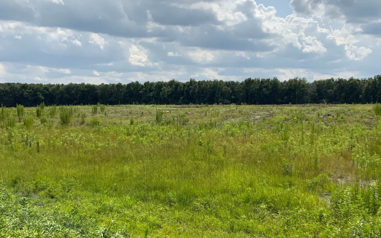 TBD 145TH RD - Photo 1