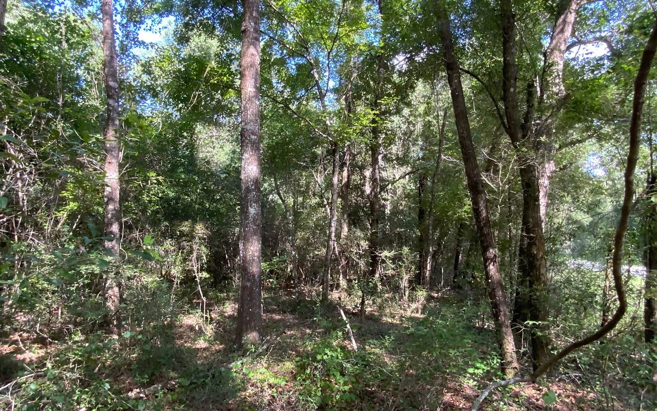 TBD Cr 349 - Photo 1